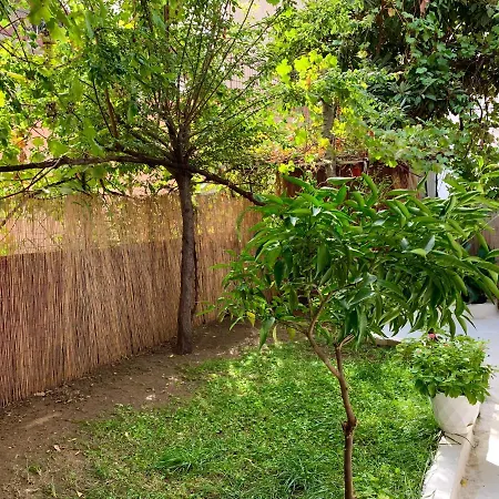 Oasis Luxury Detached House In With Hydromassage Apartment