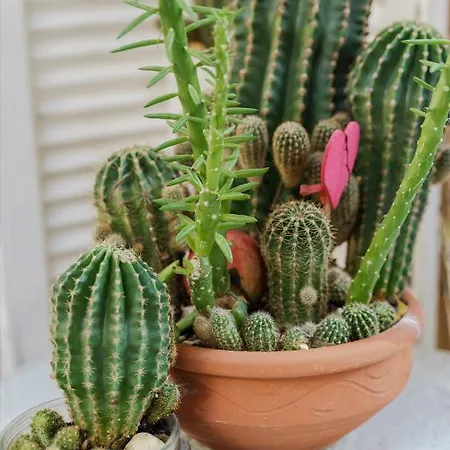 Oasis Luxury Detached House In With Hydromassage * Thessaloníki