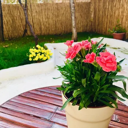 Oasis Luxury Detached House In With Hydromassage Apartment *