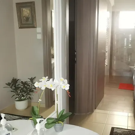 Oasis Luxury Detached House In With Hydromassage アパート テッサロニキ